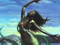 Mermaids of The Caribbean & West&nbsp;Africa